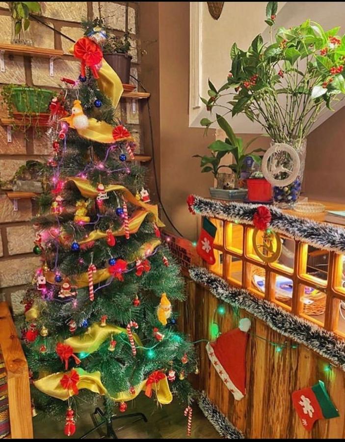 Aisha Guest House Bed & Breakfast Cherrapunji Extérieur photo